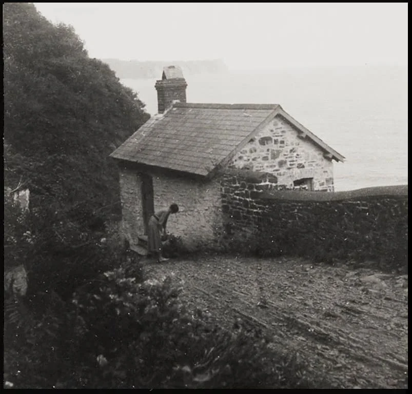 The cabin at Bucks Mills