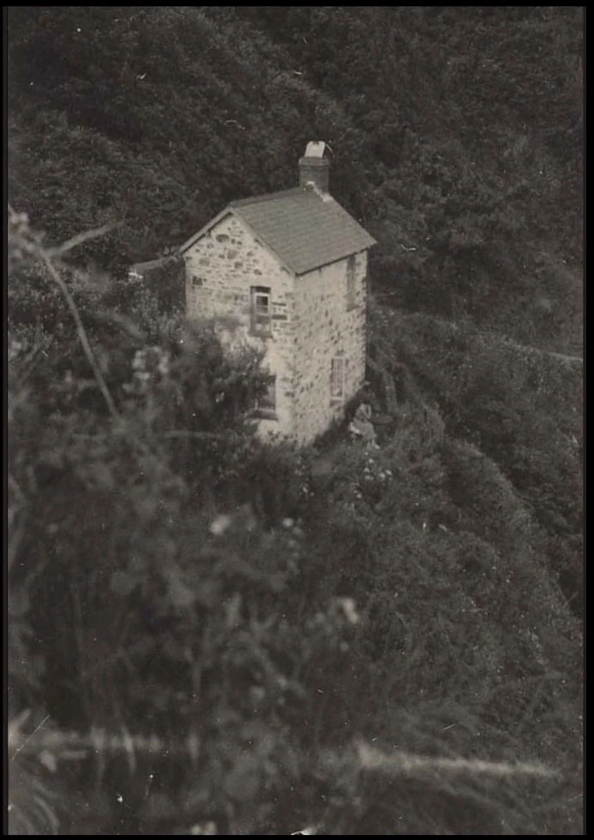 Photographs by Mary Stella Edwards of the cabin