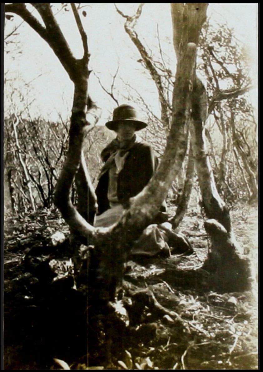 Photographs by Mary Stella Edwards