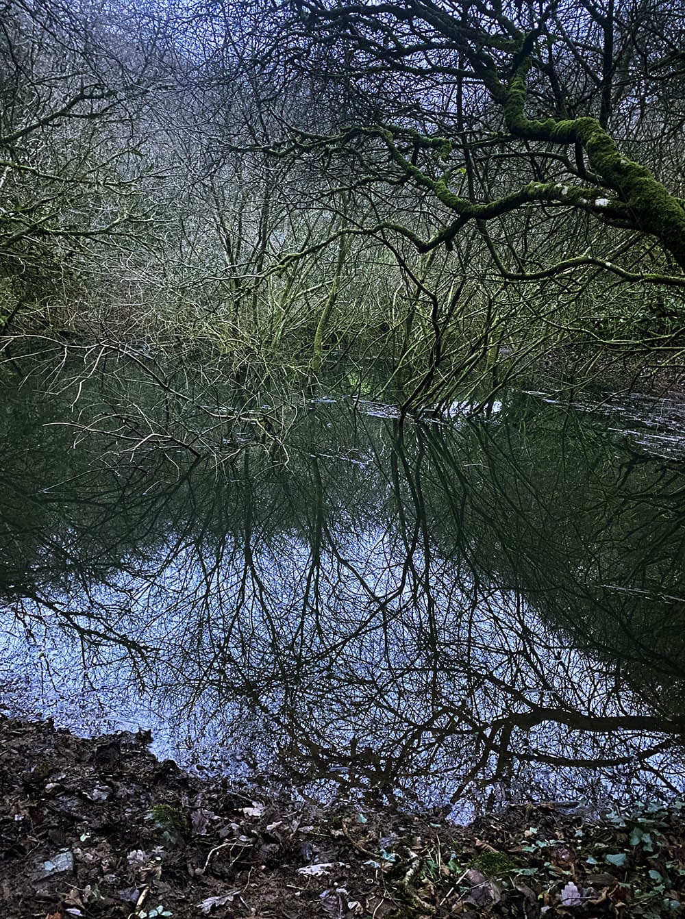 A photo of Gauter Pool near Bucks Mills, in twilight, December 2023