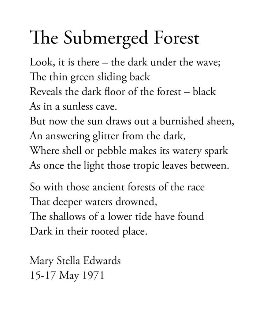 Poem, The Submerged Forest, by Mary Stella Edwards